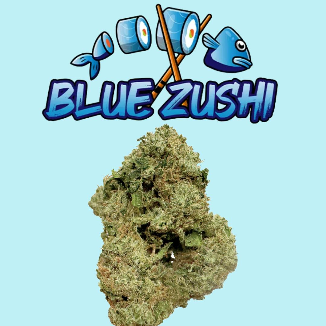 1754677743-blue_zushi.png display picture 1