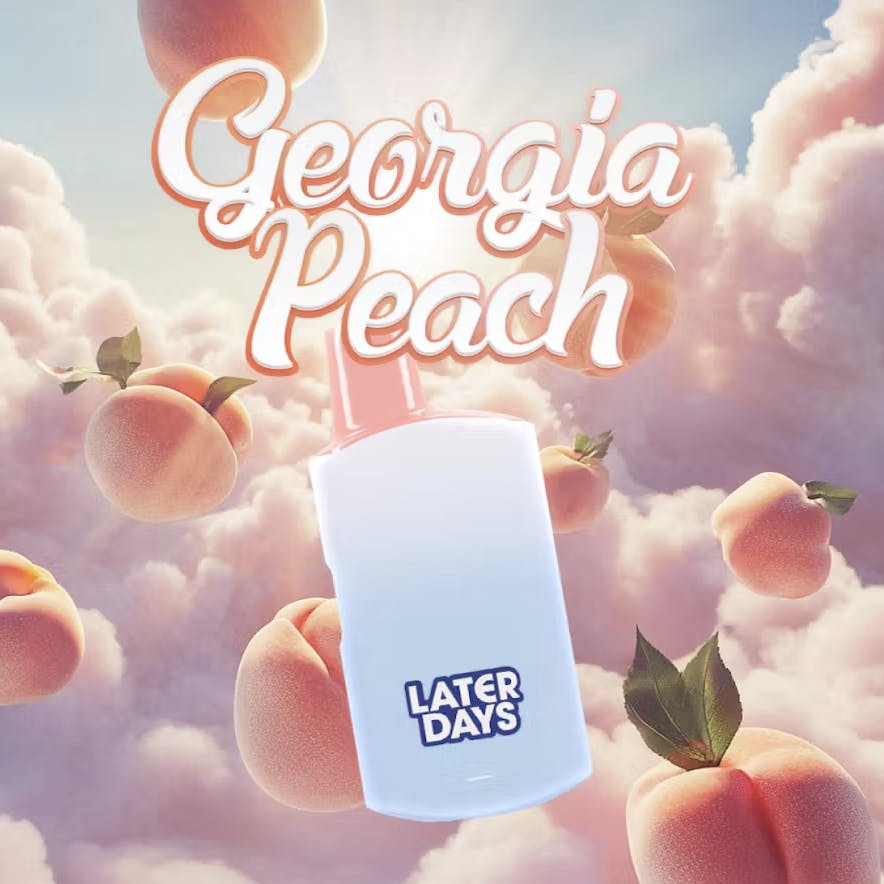 Later Days | Georgia Peach | Disposable | 1G by Later Days