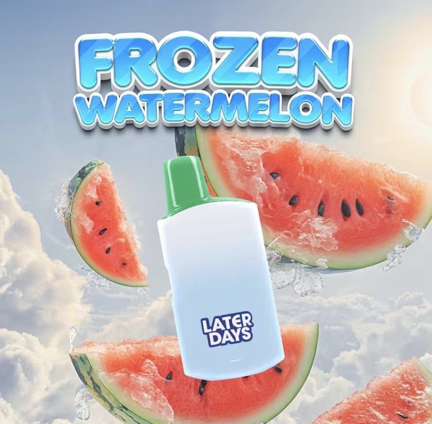 Later Days | Frozen Watermelon | Disposable | 1G
