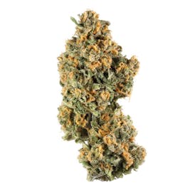 Iron Triangle Small Buds