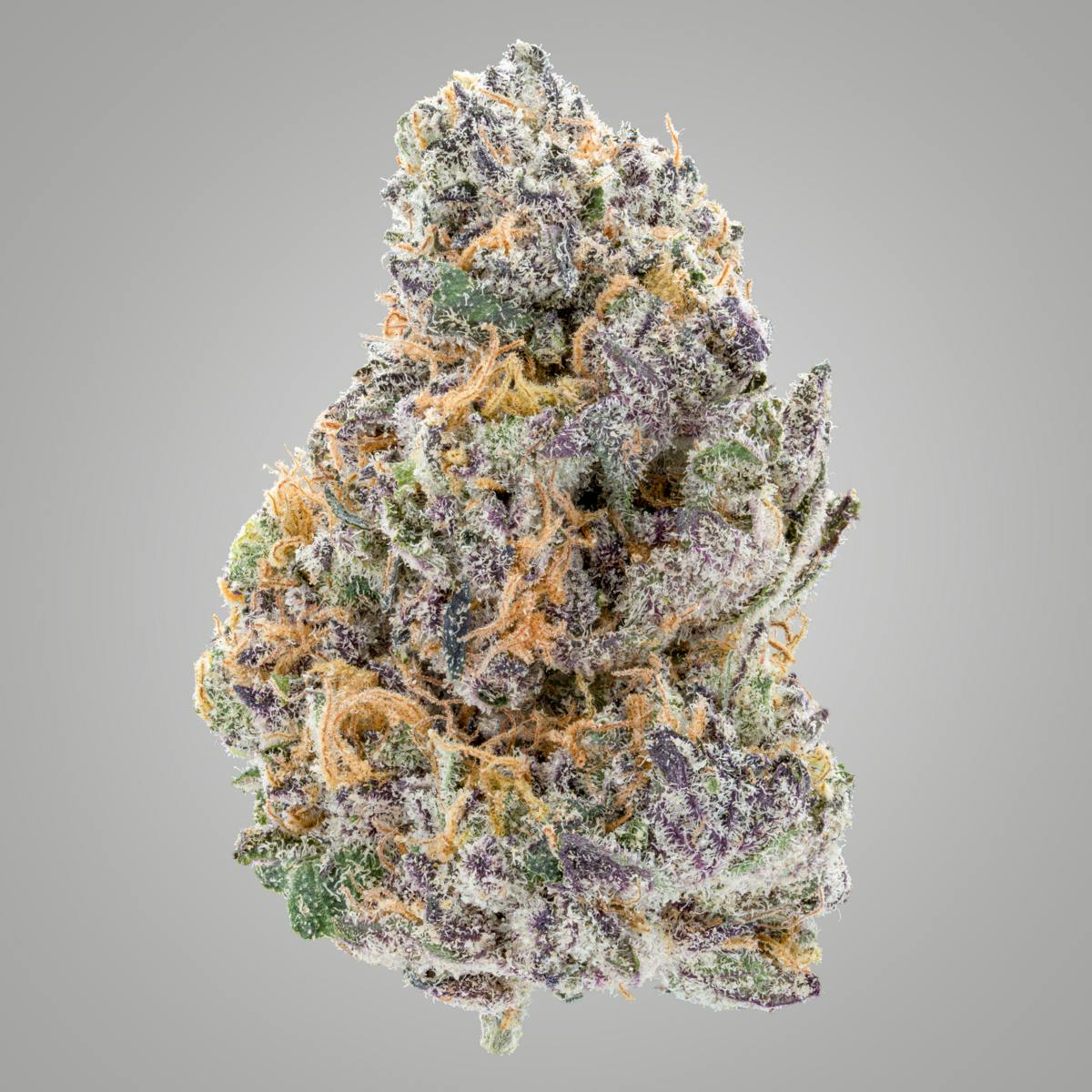 Zoap | High Rise Cannabis