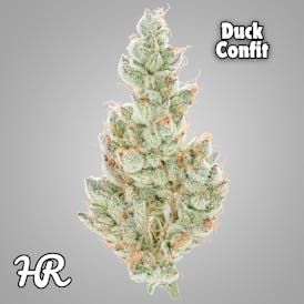 Duck Confit 3.5g Jar | High Rise Cannabis