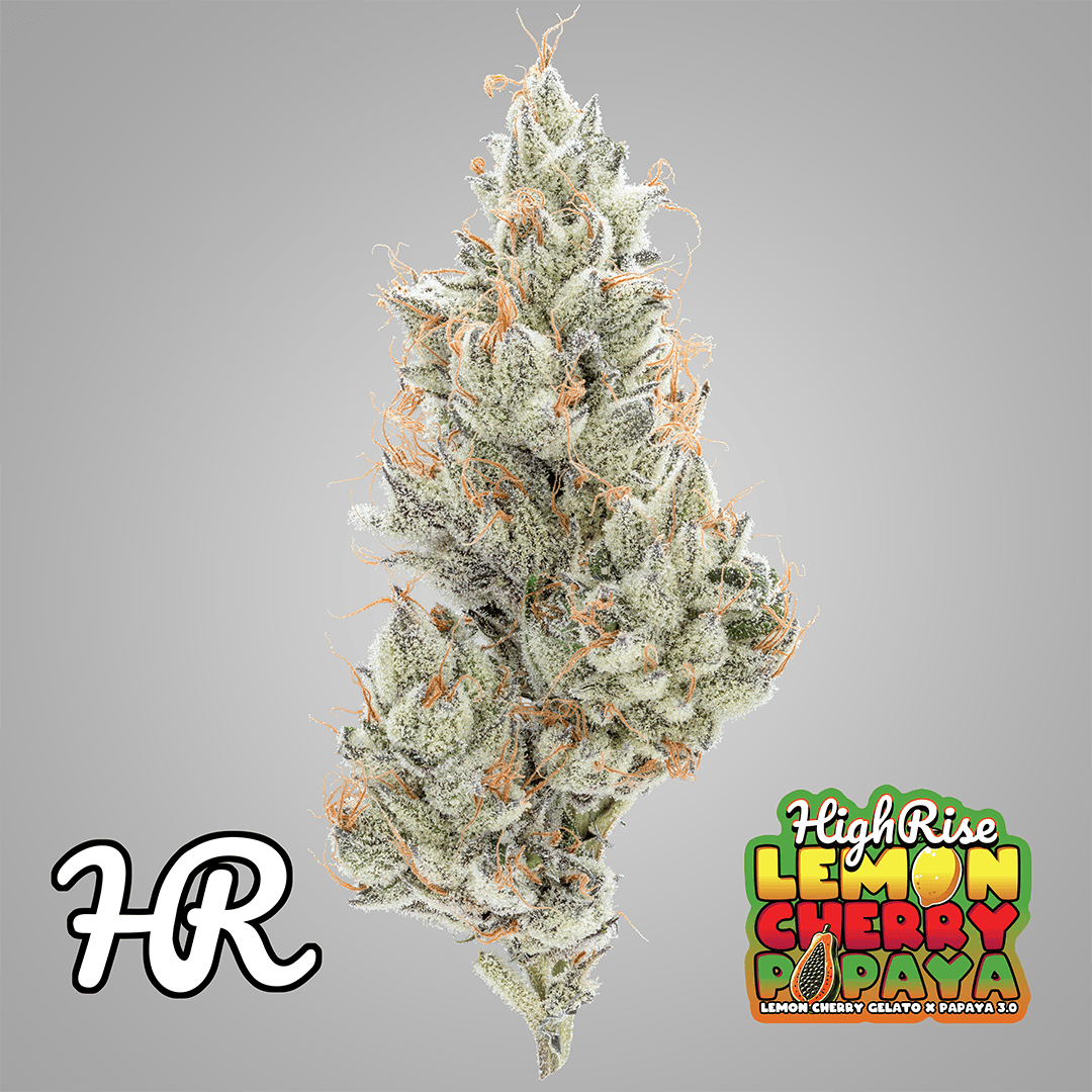 Lemon Cherry Papaya Cannabis