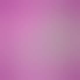 Pink Certz 3.5g Bag | High Rise Cannabis