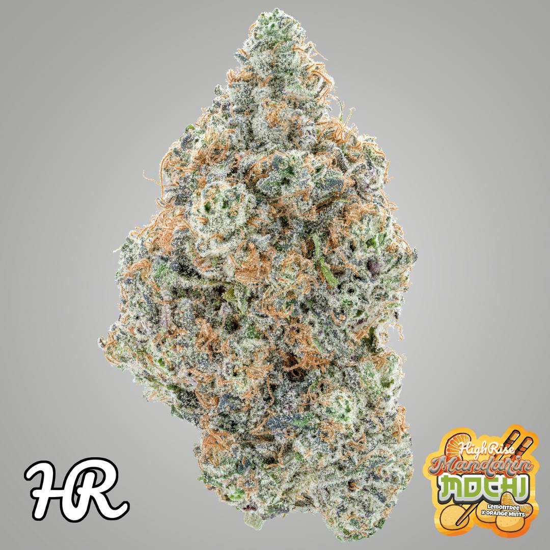 Mandarin Mochi 3.5g Jar | High Rise Cannabis