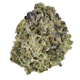 White Gushers - 28G Premium Flower