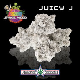 Dr. Funky's Space Weed Juicy J 3.5g (Hybrid)