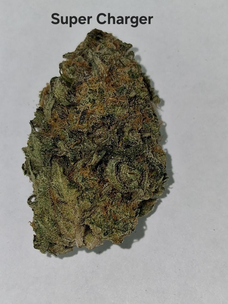 Super Charger Flower