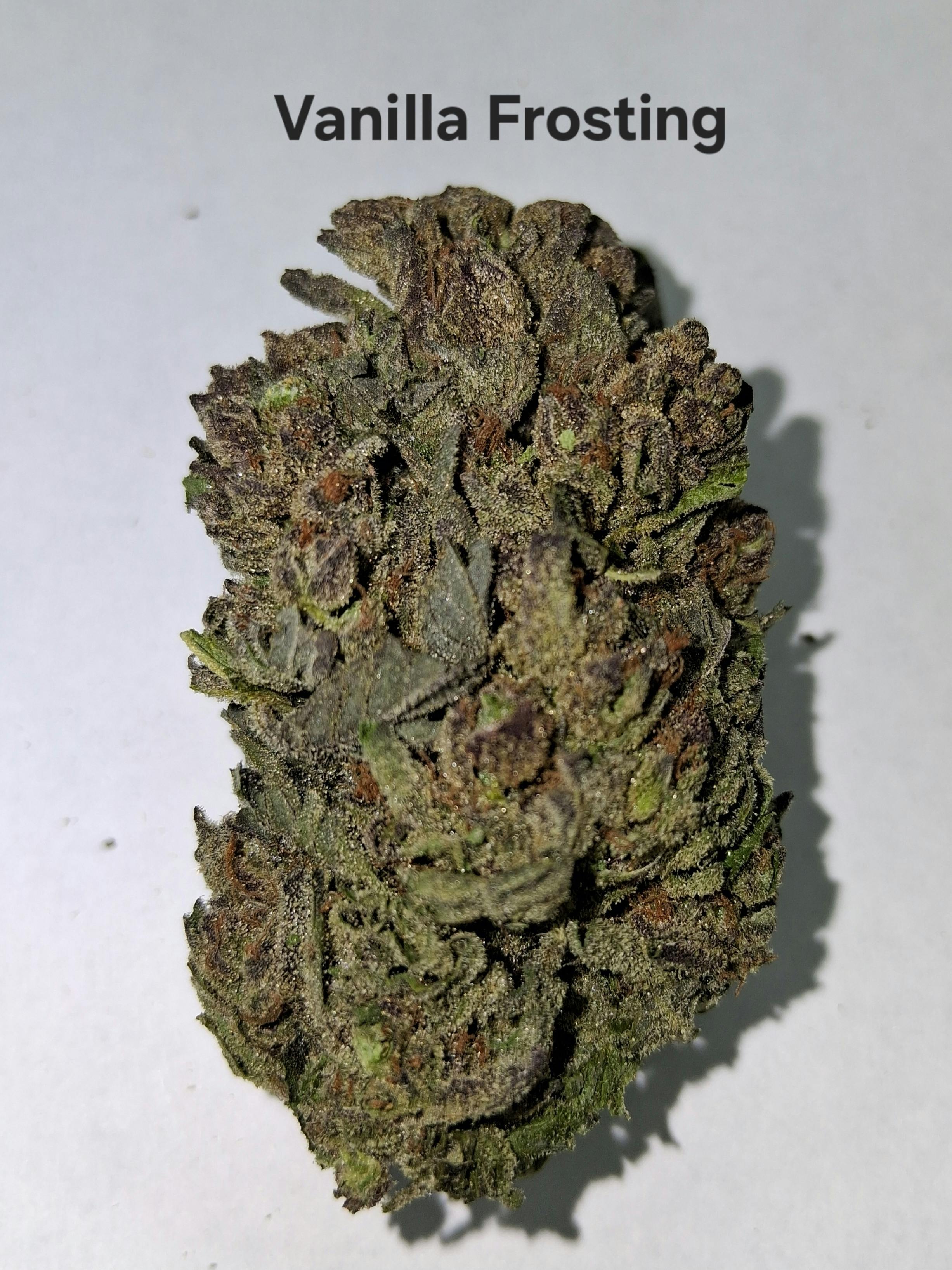 Vanilla Frosting Flower