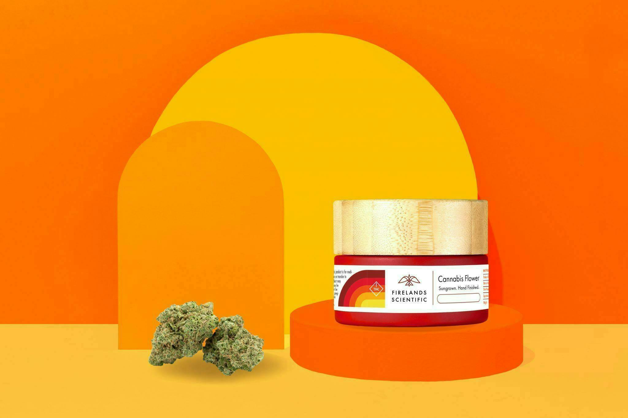 Salty Watermelon 1 Day - 2.83G - Flower