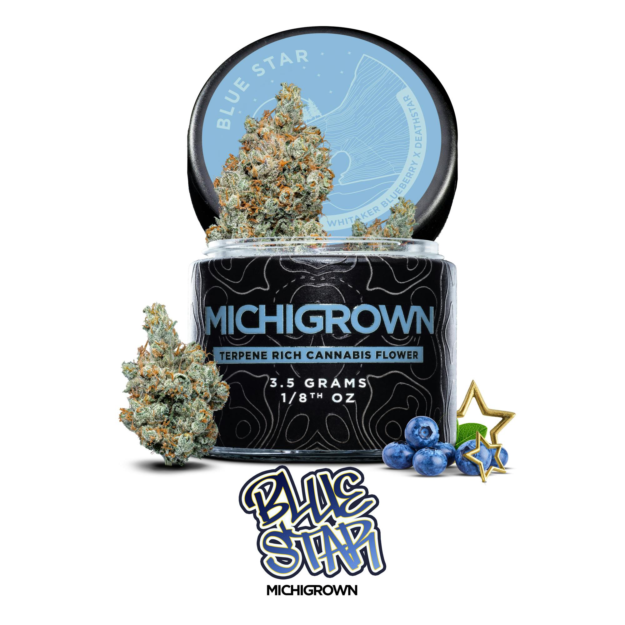 BLUE STAR - 3.5 GRAMS- PREMIUM FLOWER - JAR by MICHIGROWN