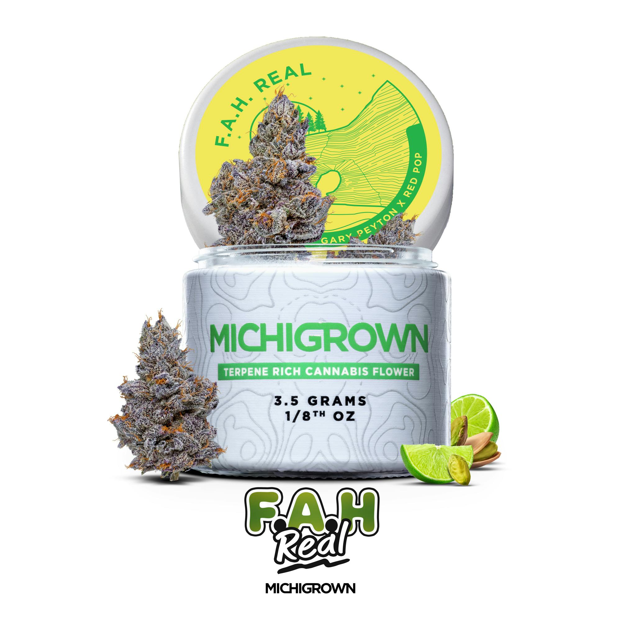 F.A.H. REAL - 3.5 GRAMS - PREMIUM FLOWER - JARS by MICHIGROWN