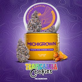 TROPICANNA COOKIES - 3.5 GRAMS - PREMIUM FLOWER - JARS