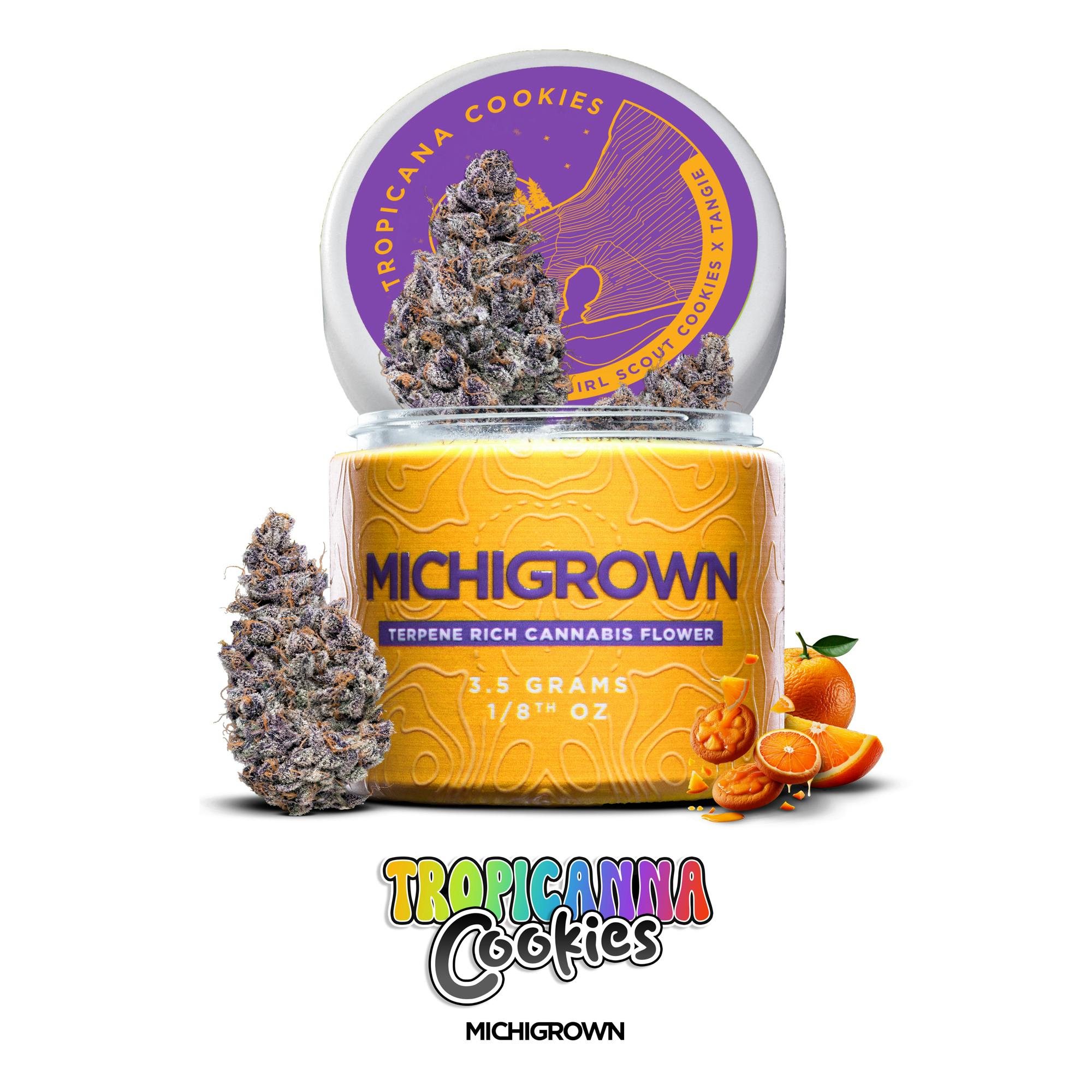 TROPICANNA COOKIES - 3.5 GRAMS - PREMIUM FLOWER - JARS by MICHIGROWN
