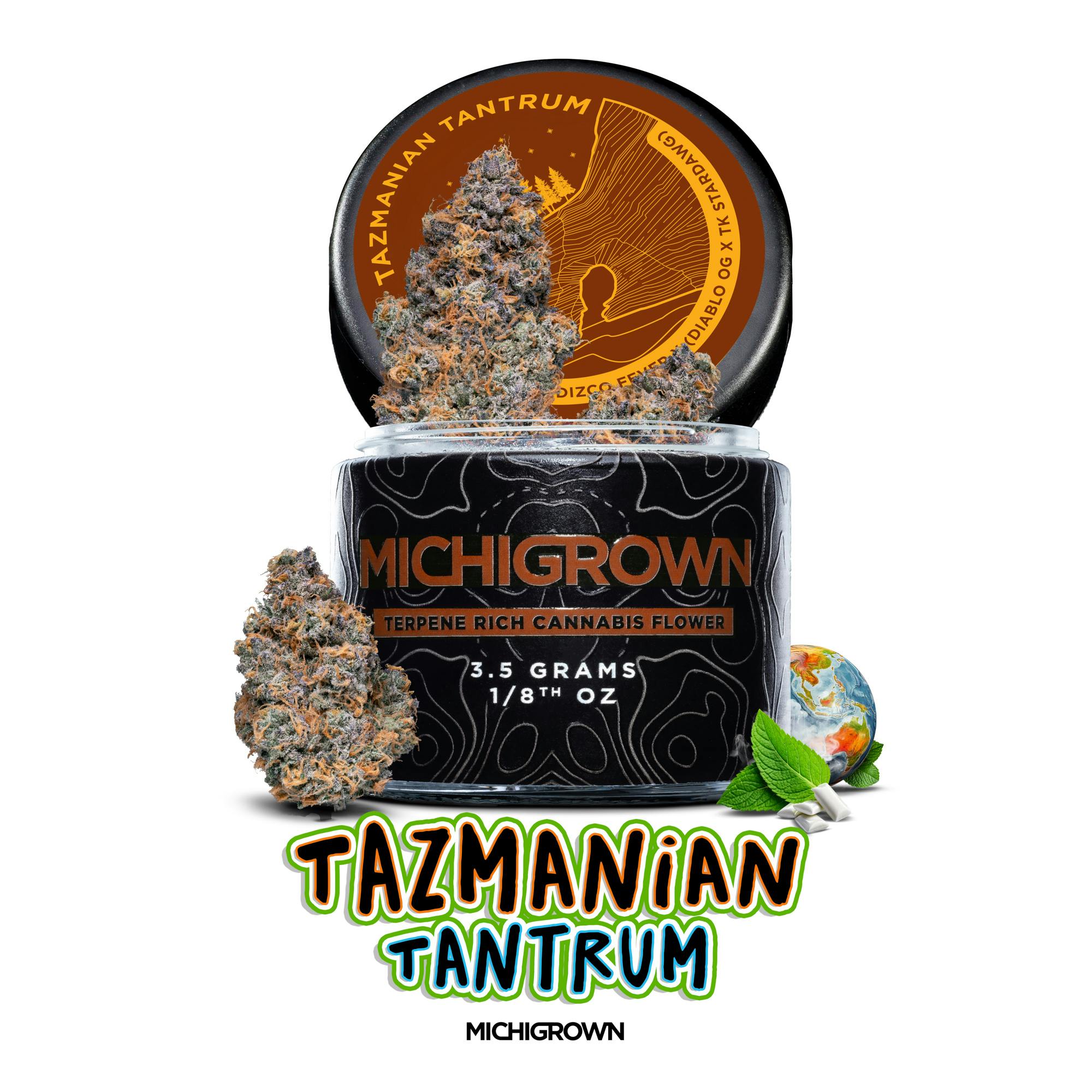 TAZMANIAN TANTRUM - 3.5 GRAMS - PREMIUM FLOWER - JARS by MICHIGROWN