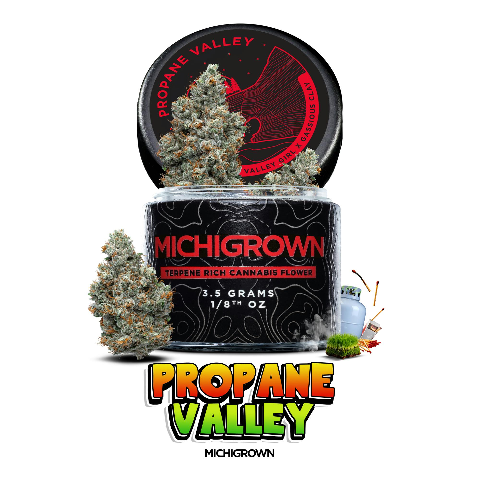 PROPANE VALLEY - 3.5 GRAMS - PREMIUM FLOWER - JARS