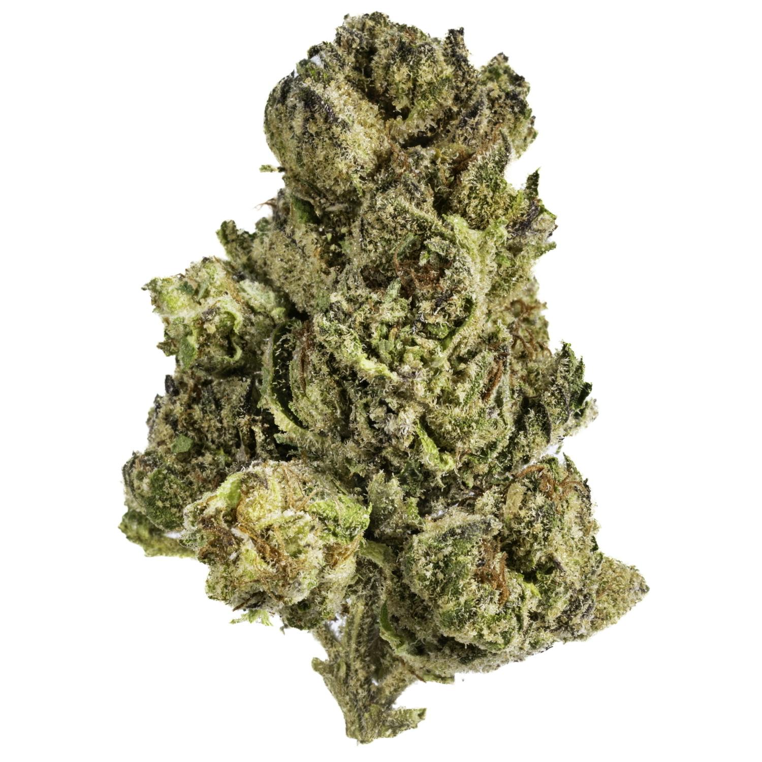 West Coast Cure — Pink Champagne