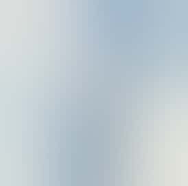 BowHouse | Gorilla Glue x New York Cheesecake| Live Resin Baller Brush | 2G