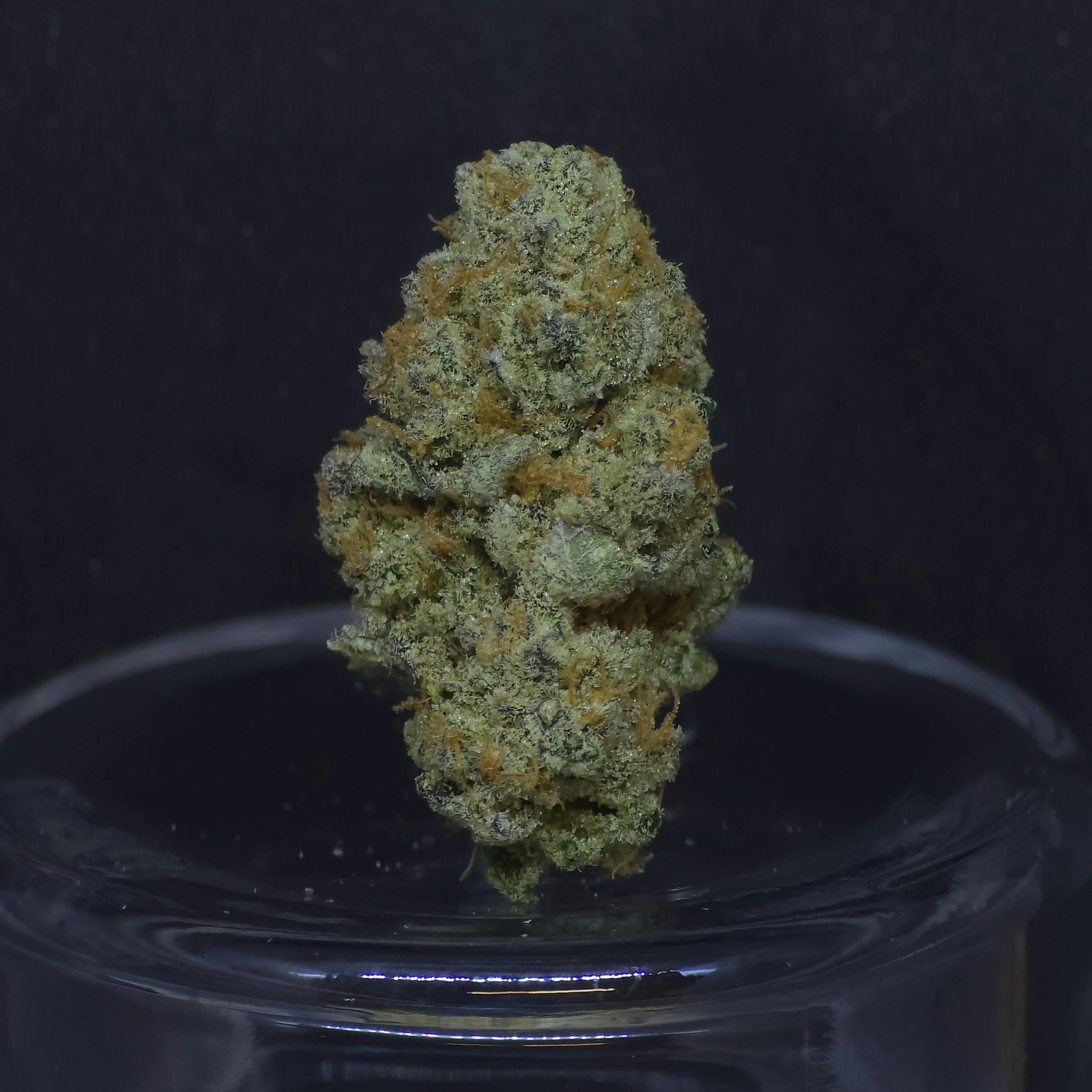Dirty Love Sugar 1g Flower