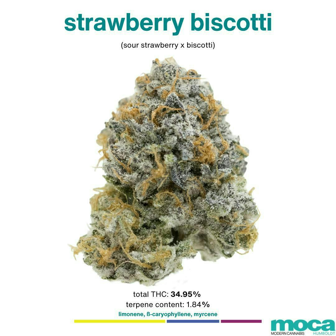 MOCA Humboldt: Strawberry Biscotti