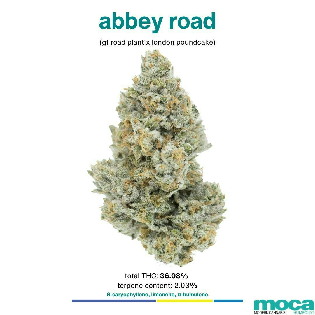 MOCA Flowers - 1/8th Mylar Bag - Abbey Road