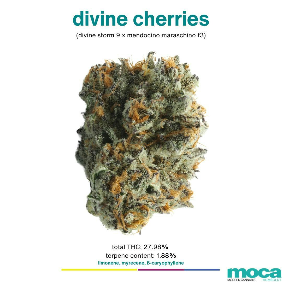 Smalls 1/4 Bag Divine Cherries