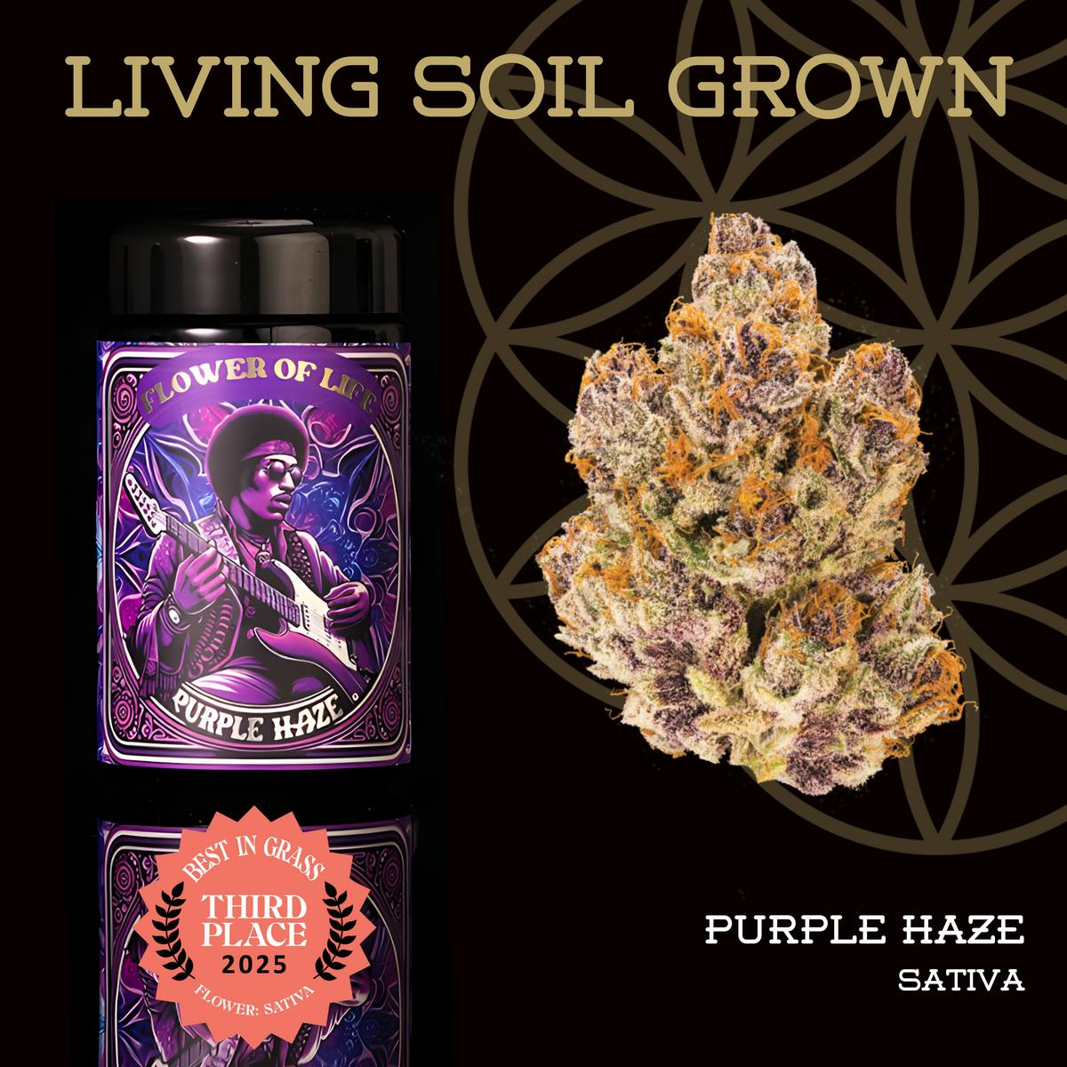 Purple Haze | Prepack | Miron Jar | Living Soil - Flora East