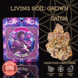 Purple Haze | Flower | Deli