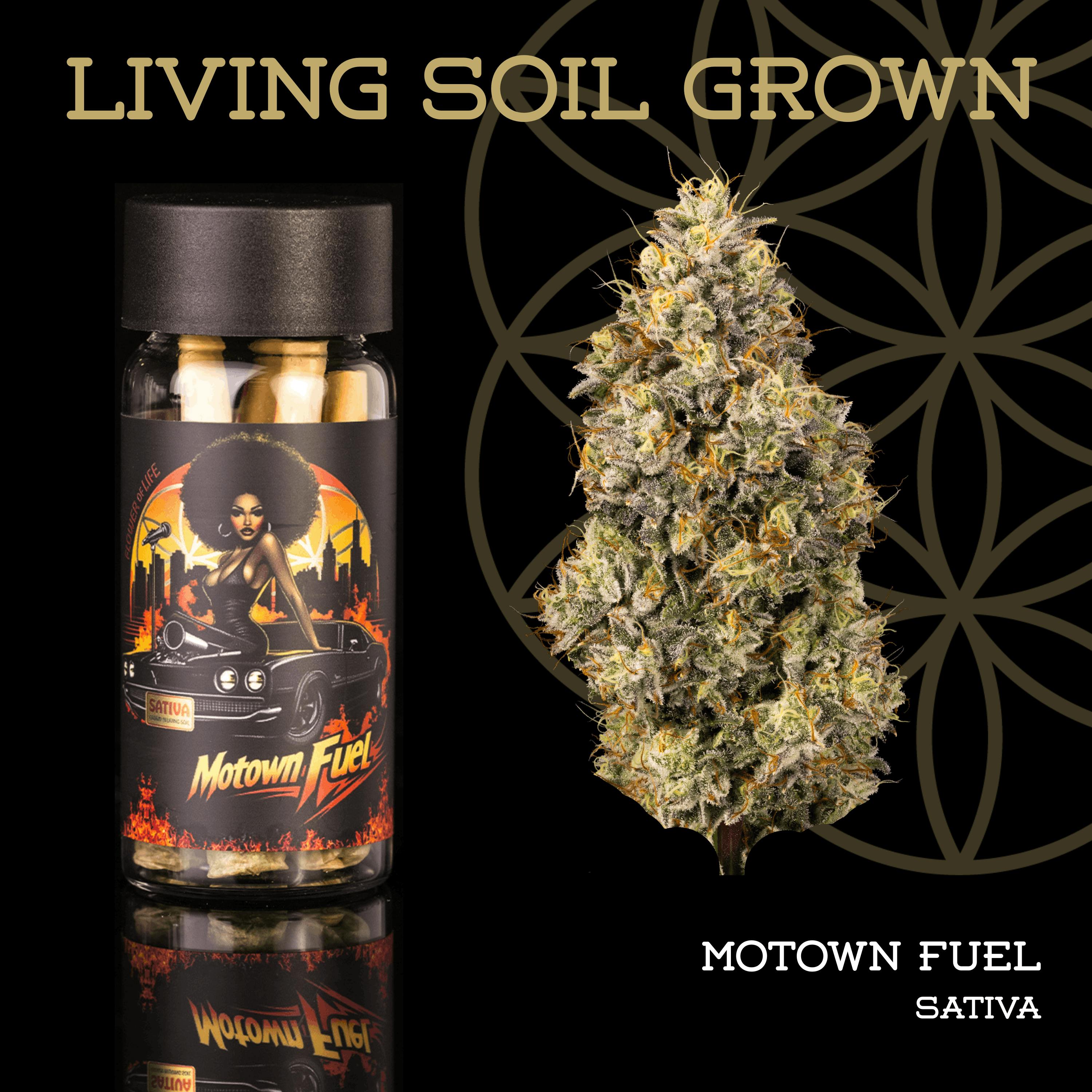 Motown Fuel | Pre-Roll 5-Pack | 2.5g | Living Soil by Flower of Life