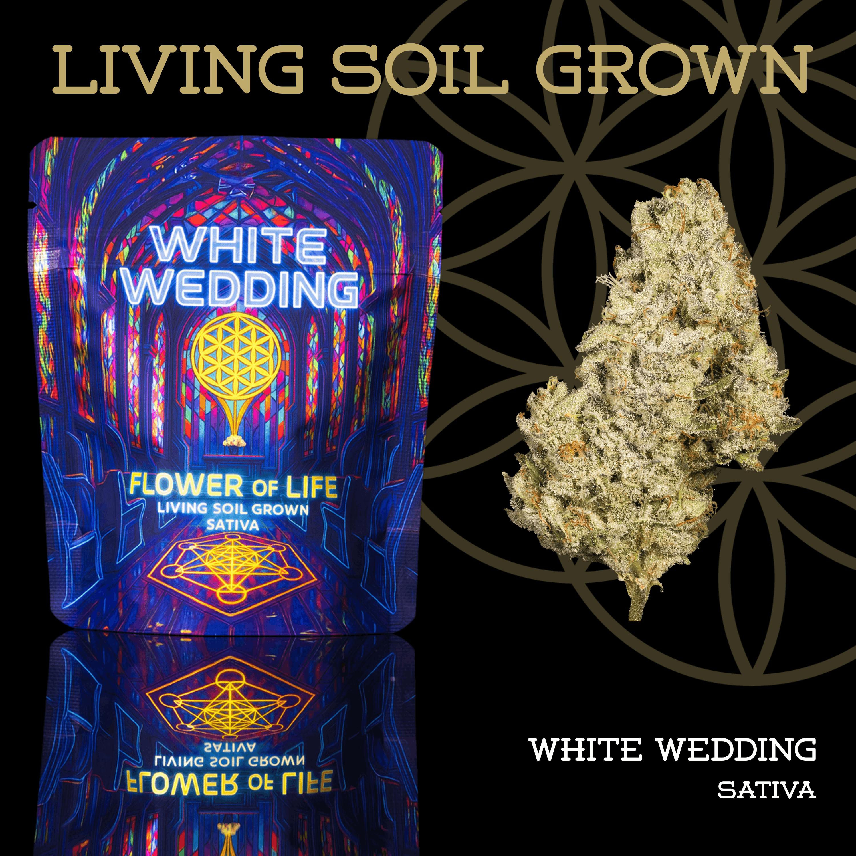 White Wedding | Prepack | Mylar Bag | Living Soil