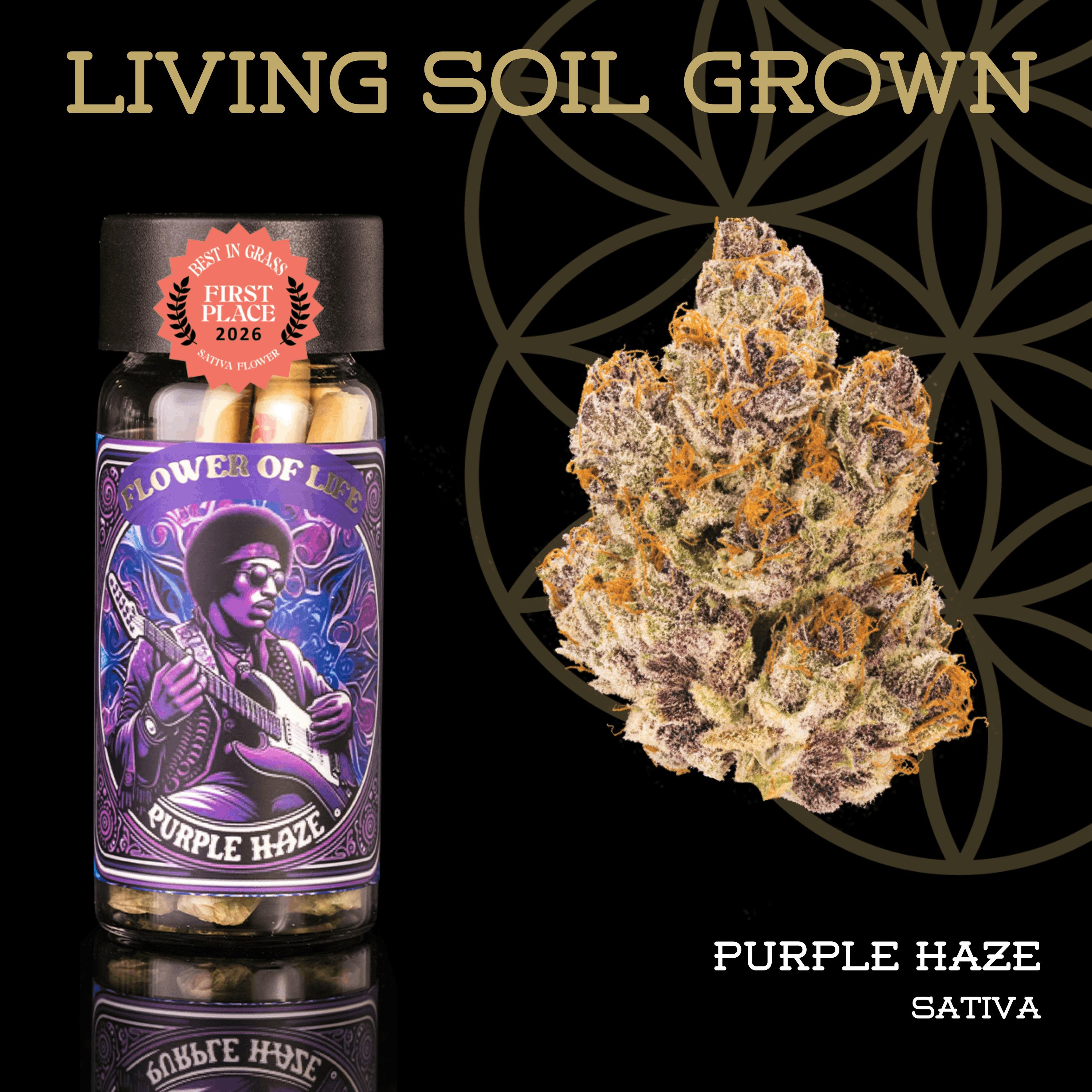 Purple Haze | Pre-Roll 5-Pack | 2.5g | Living Soil by Flower of Life