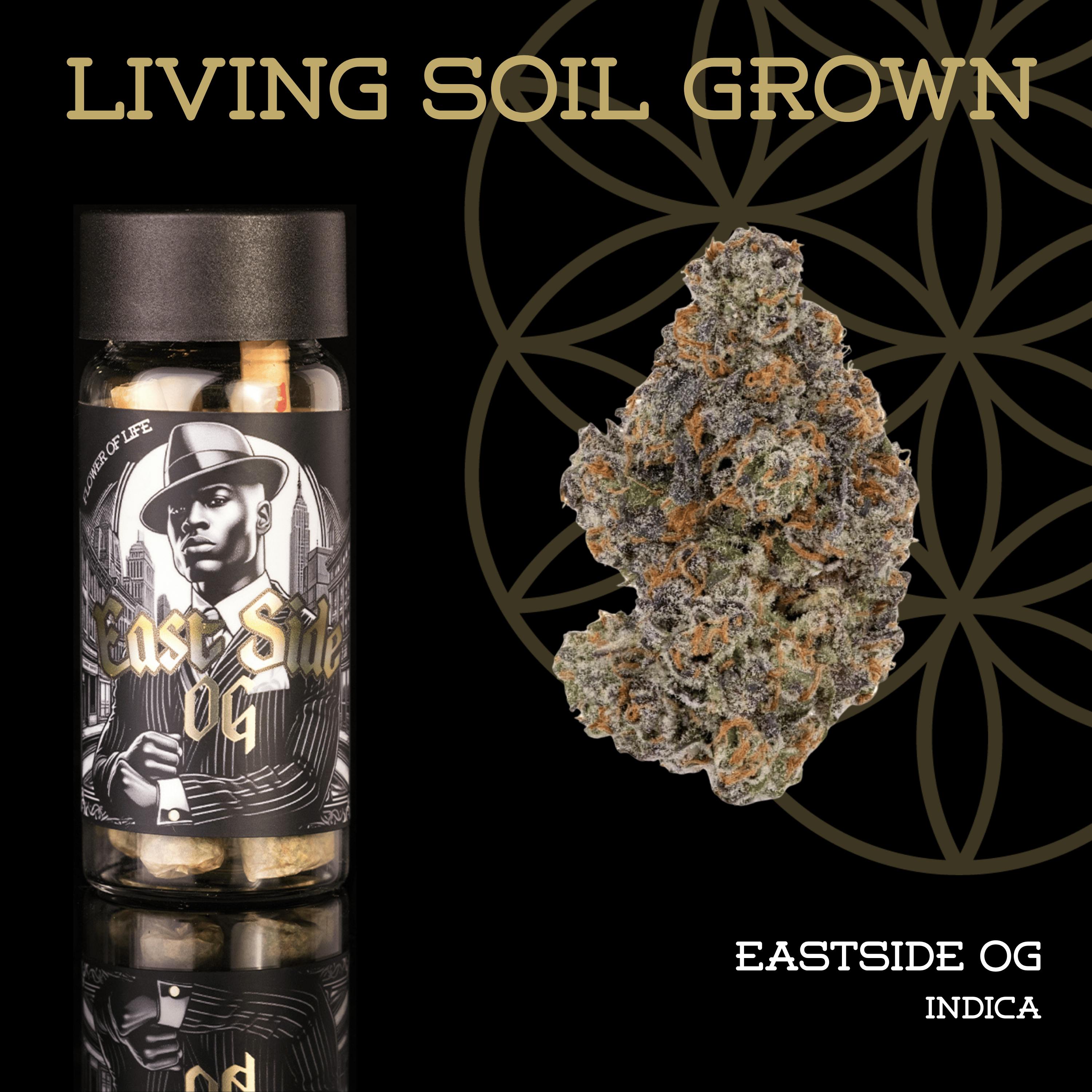 Eastside OG | Pre-Roll 5-Pack | 2.5g | Living Soil by Flower of Life