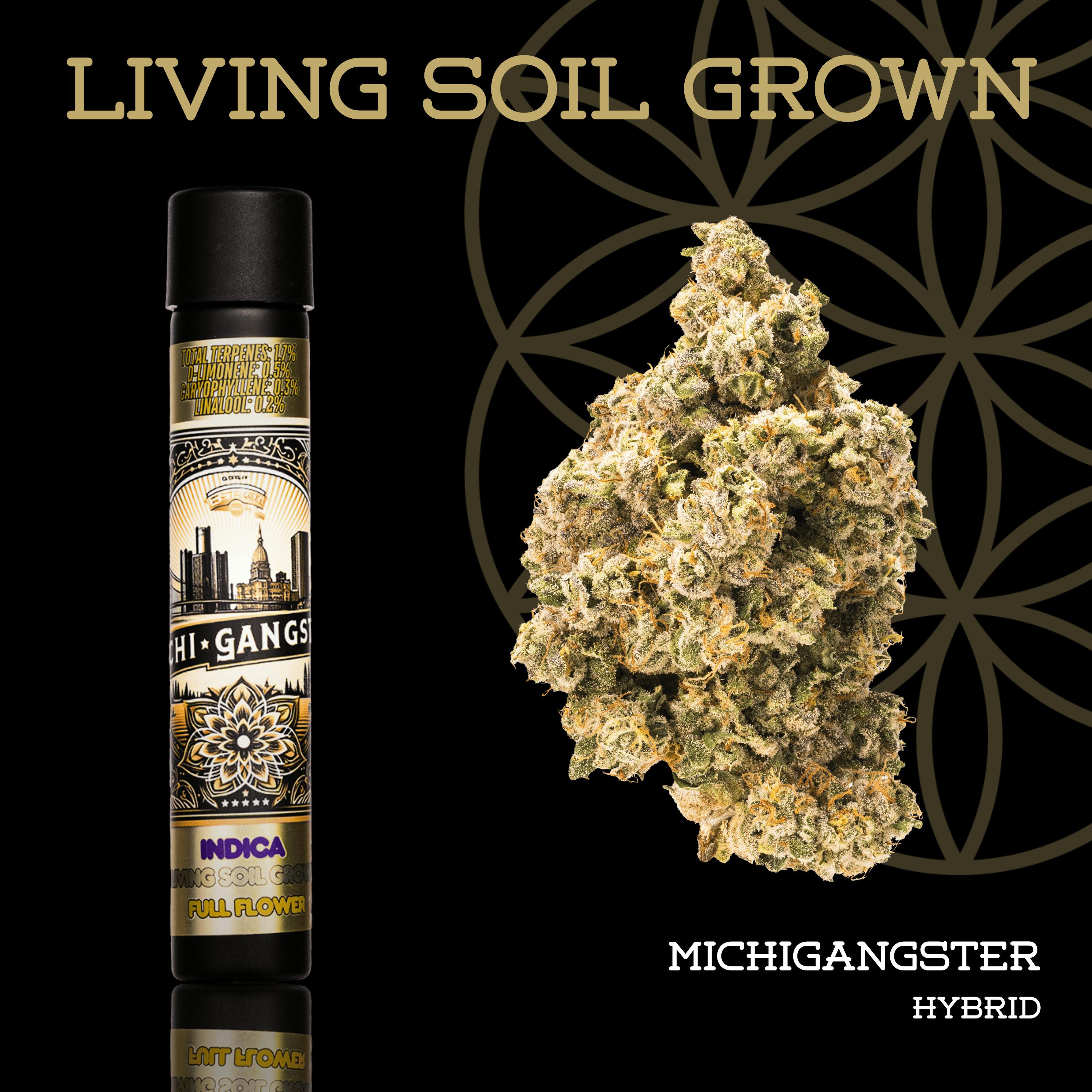 Michigangster | Joint | 1g
