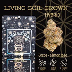 Oreoz Blizzard | Flower | Deli