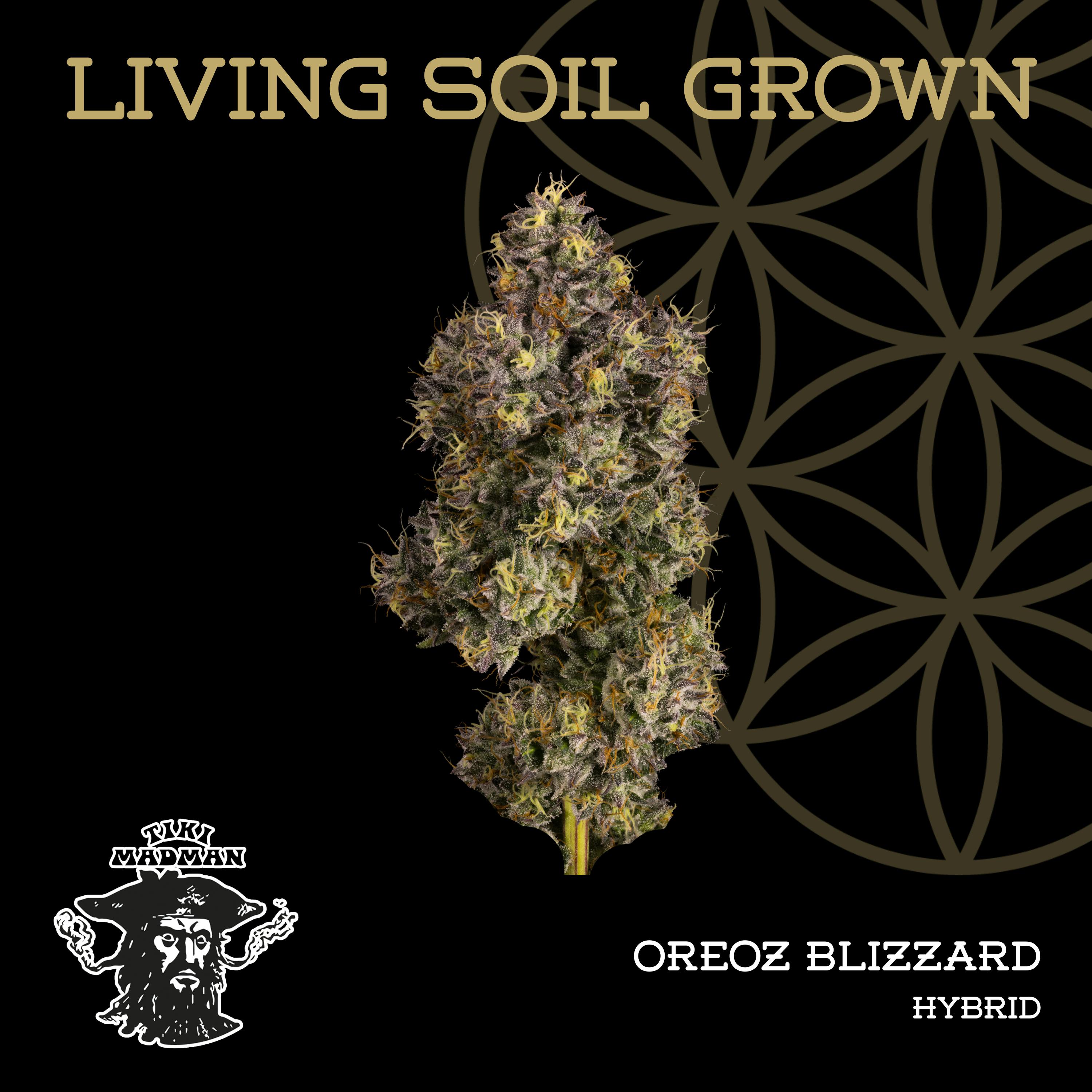 Oreoz Blizzard | Bulk Deli | Living Soil by Flower of Life