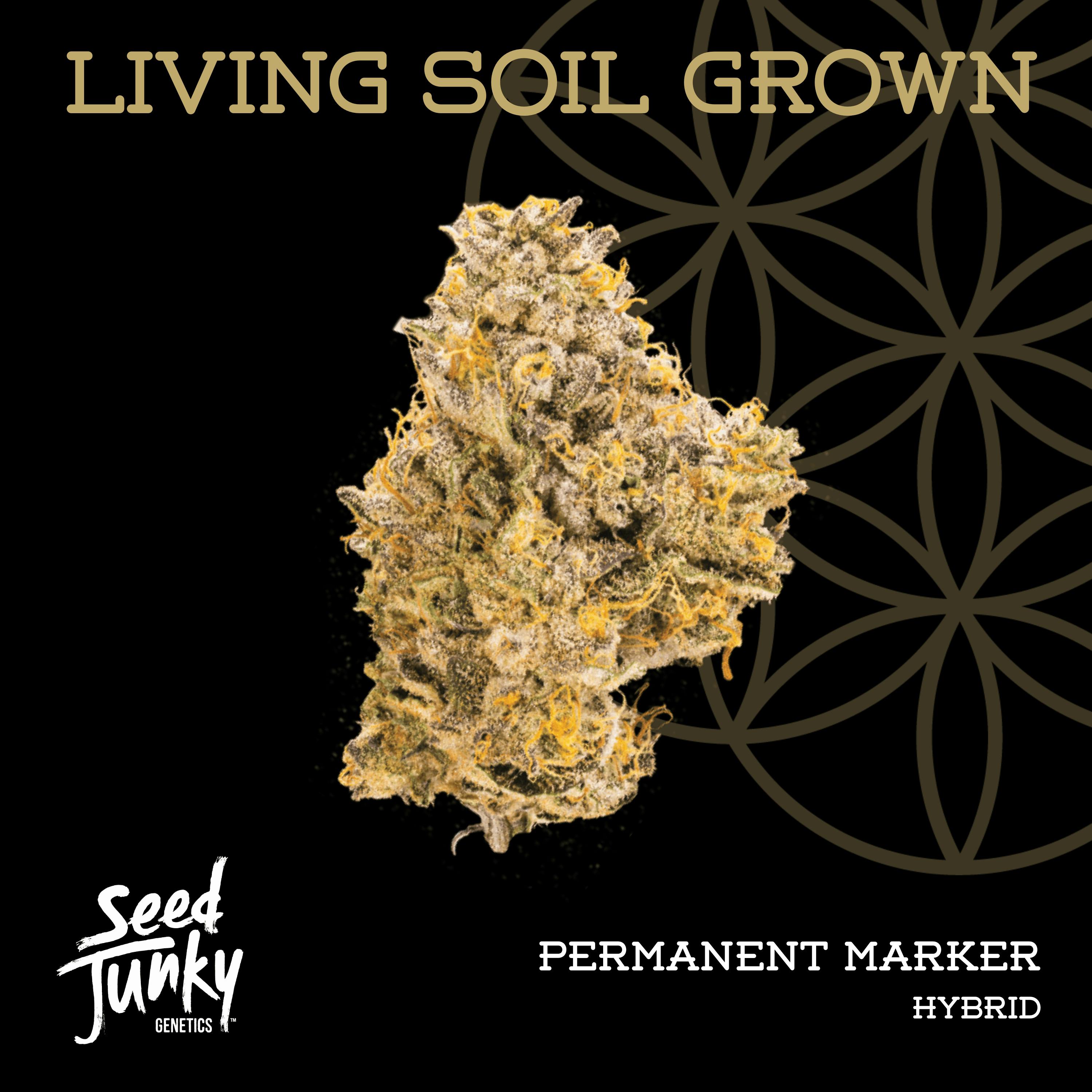 Permanent Marker | Pre-Roll | 1g | Living Soil