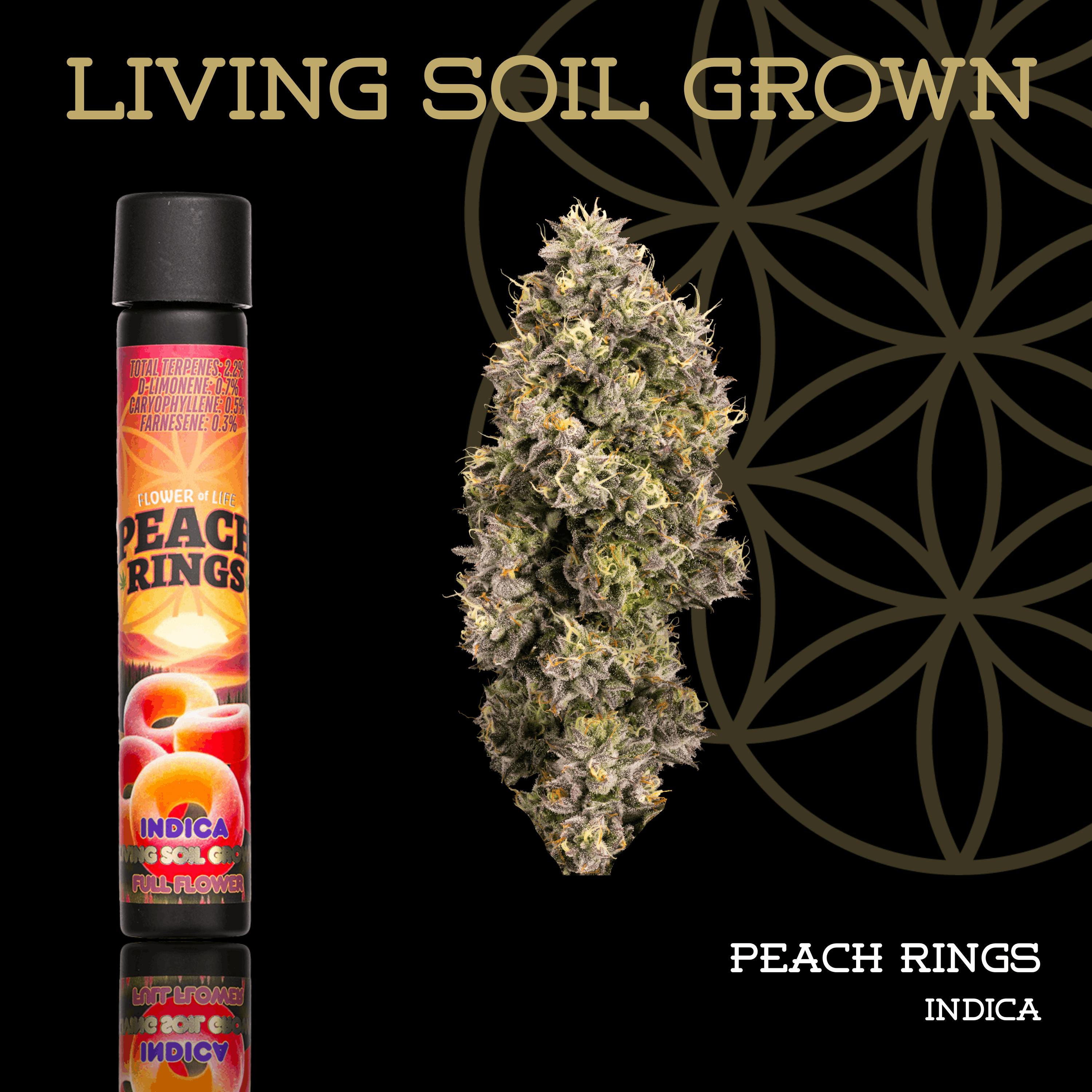 Peach Rings | Pre-Roll | 1g | Living Soil at The Corner Farmacy - NOW OPEN!