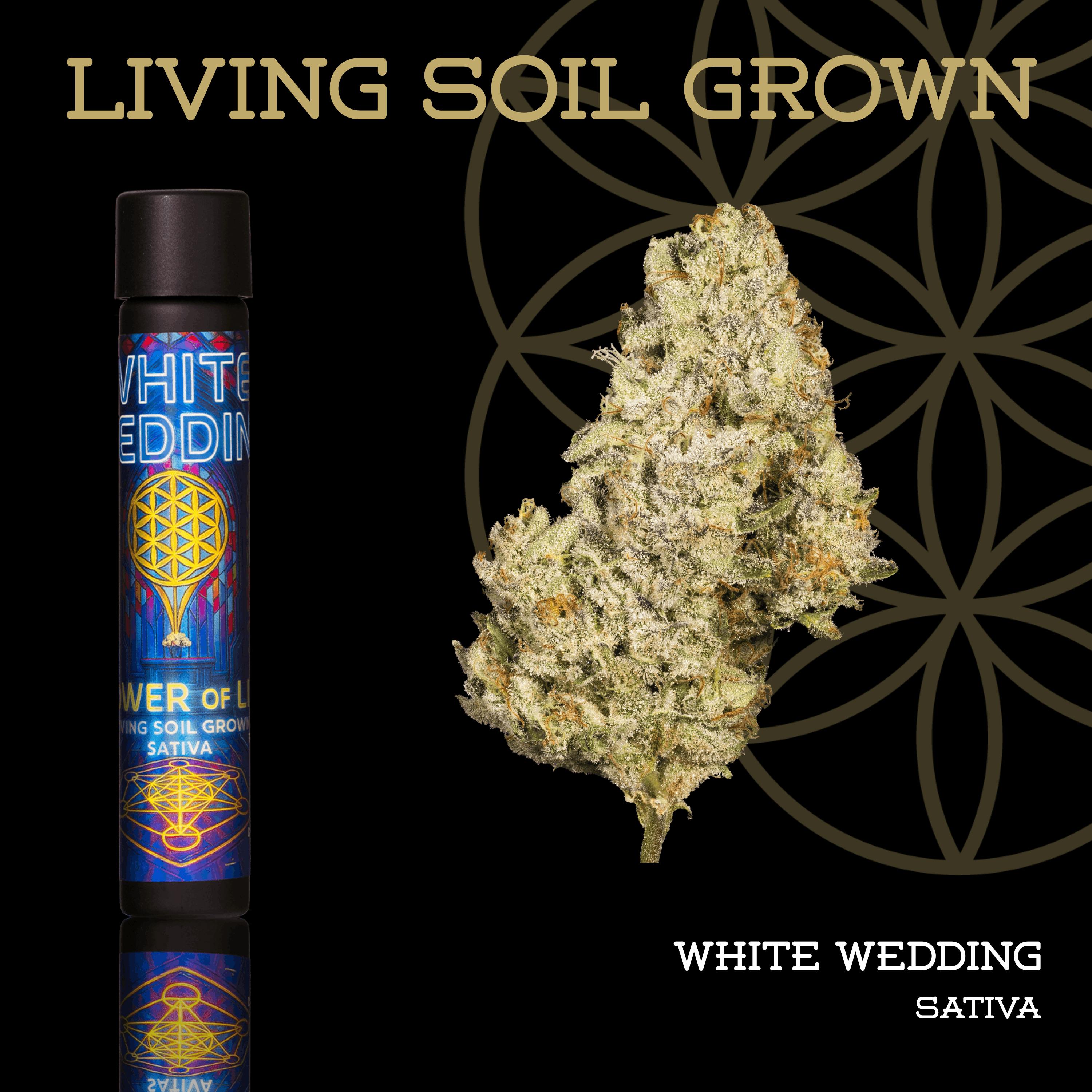White Wedding | Pre-Roll | 1g | Living Soil by Flower of Life