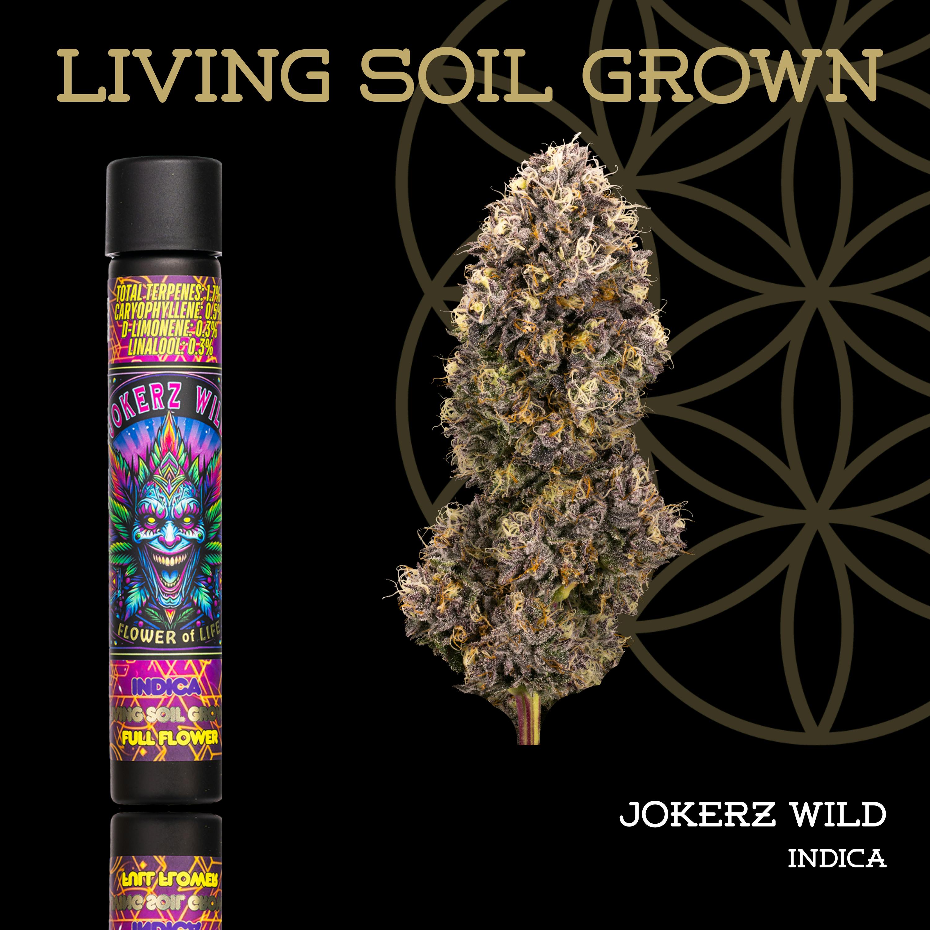 Jokerz Wild | Pre-Roll | 1g | Living Soil at The Corner Farmacy - NOW OPEN!