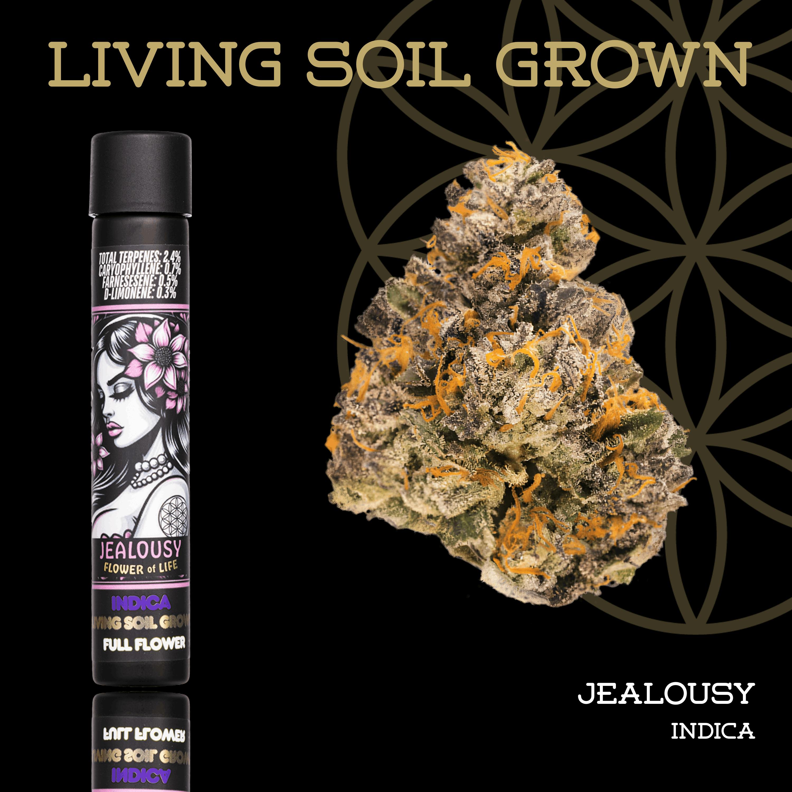 Jealousy | Living Soil Pre-Roll | 1g