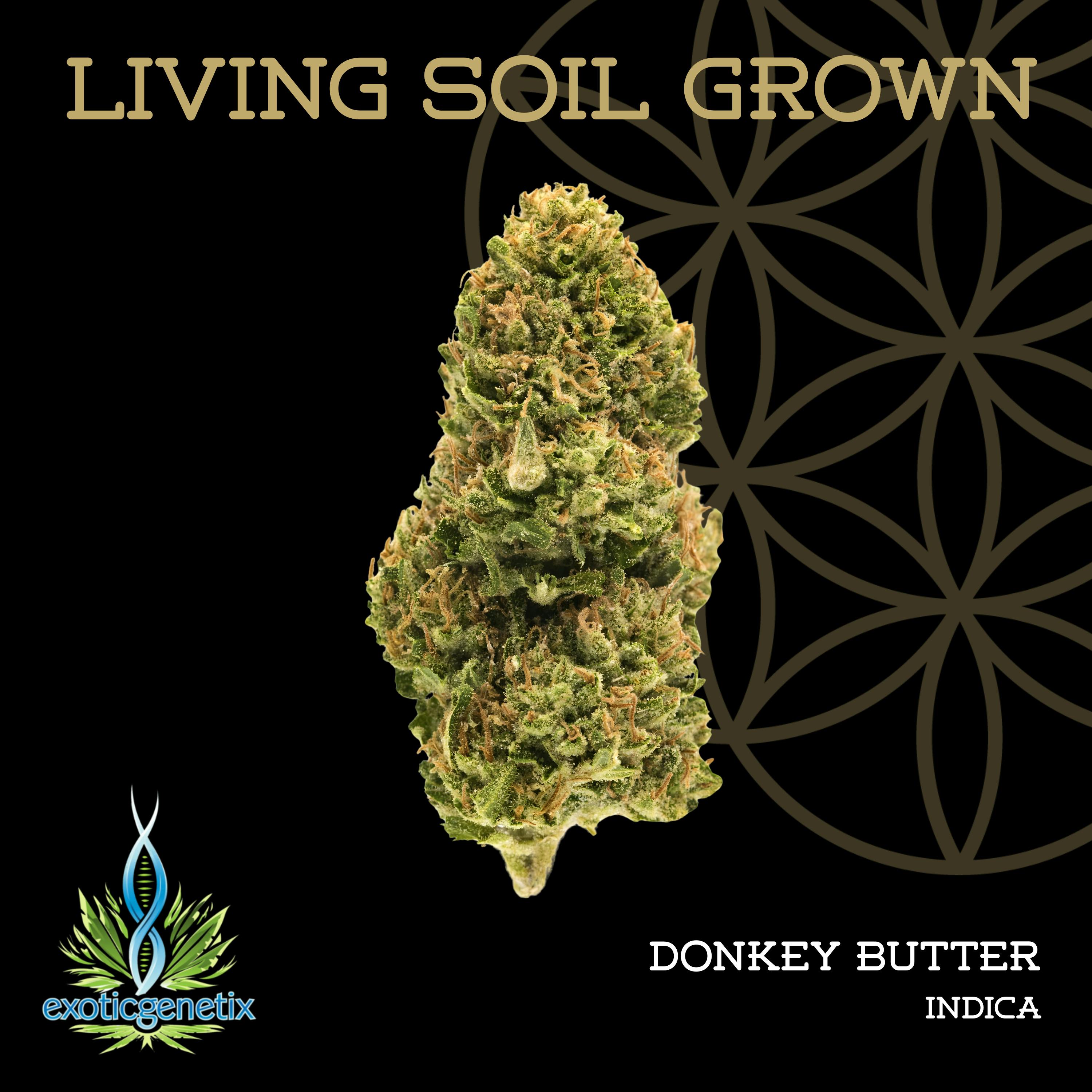 Donkey Butter | Bulk Deli | Living Soil