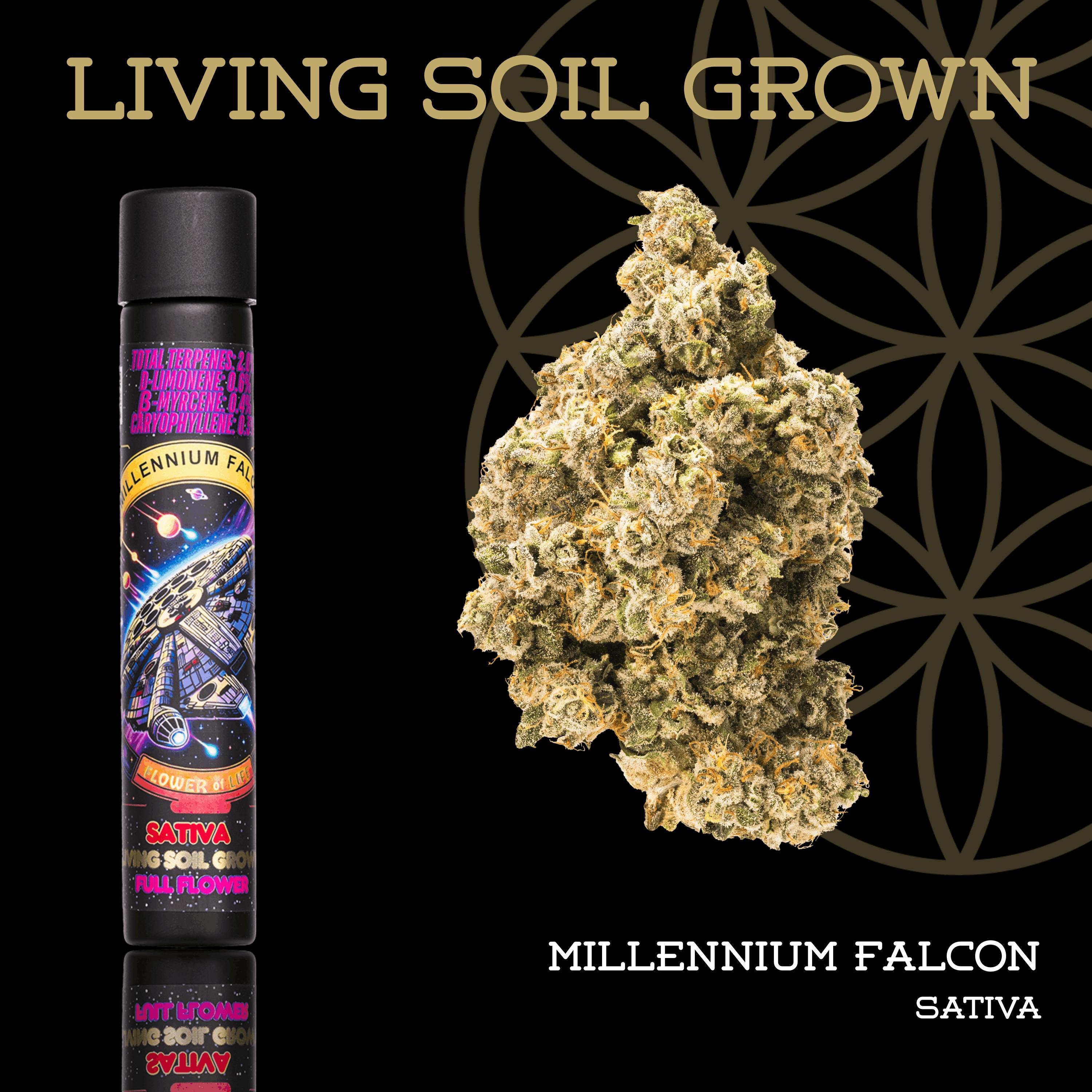 Millennium Falcon | Pre-Roll | 1g | Living Soil at The Corner Farmacy - NOW OPEN!