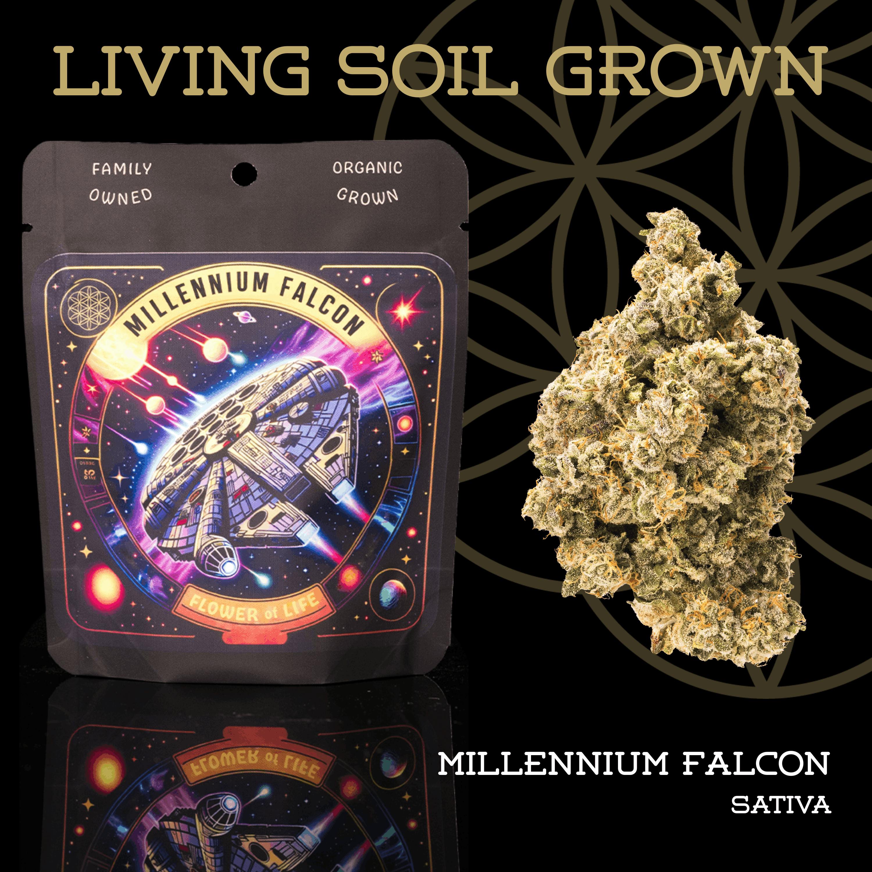 Millennium Falcon | Prepack | Mylar Bag | Living Soil