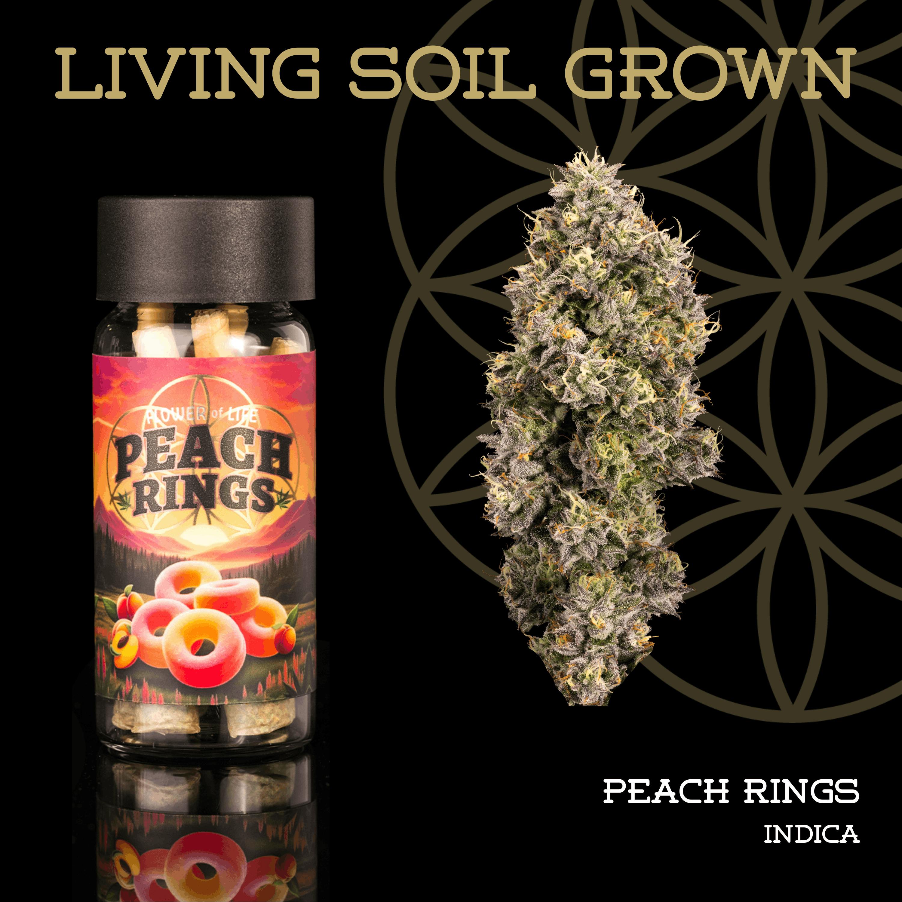 Peach Rings | Pre-Roll 5-Pack | 2.5g | Living Soil by Flower of Life