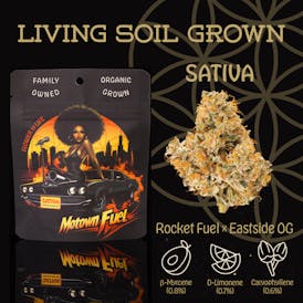 Motown Fuel | Flower | Deli