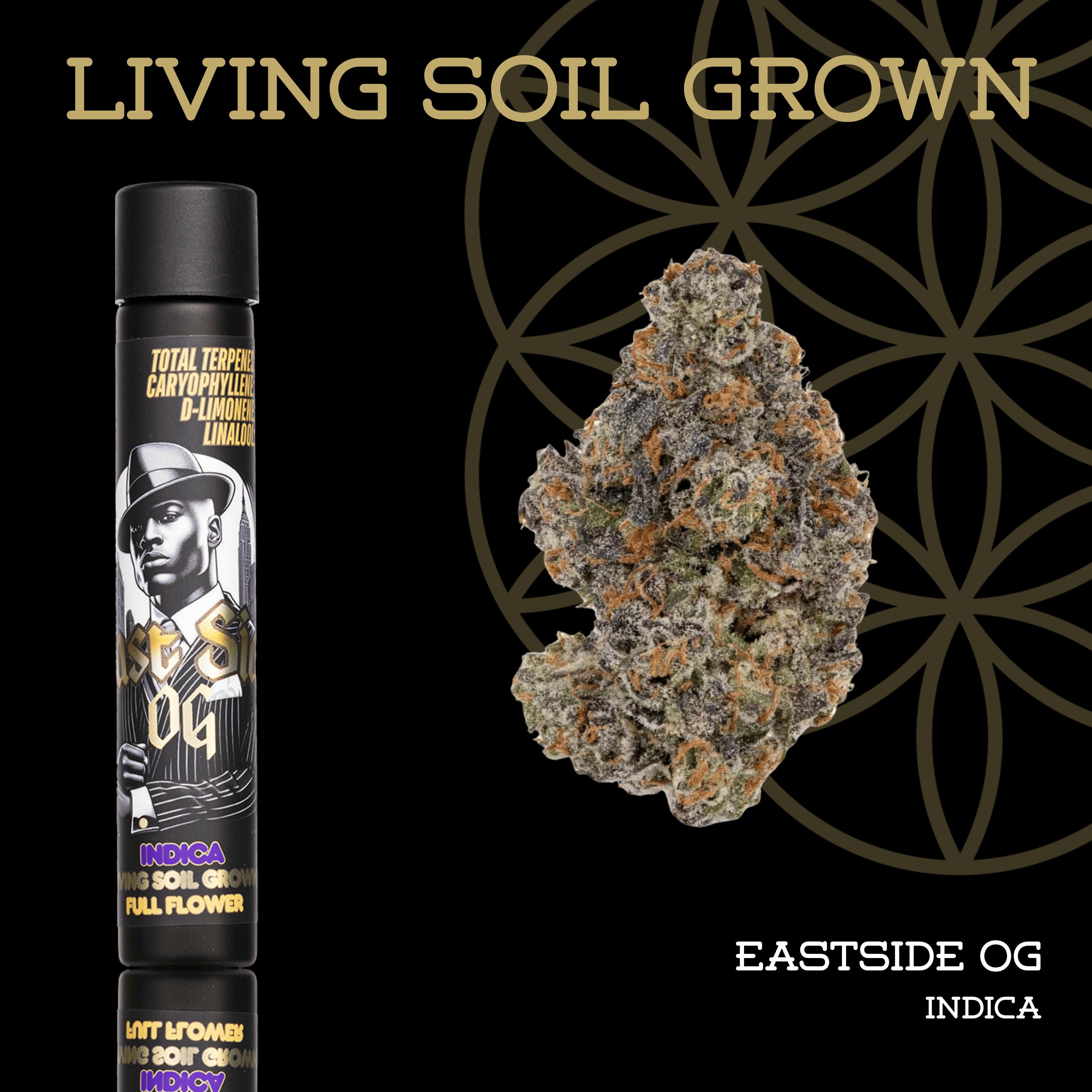 Eastside OG | Living Soil Pre-Roll | 1g at The Corner Farmacy - NOW OPEN!