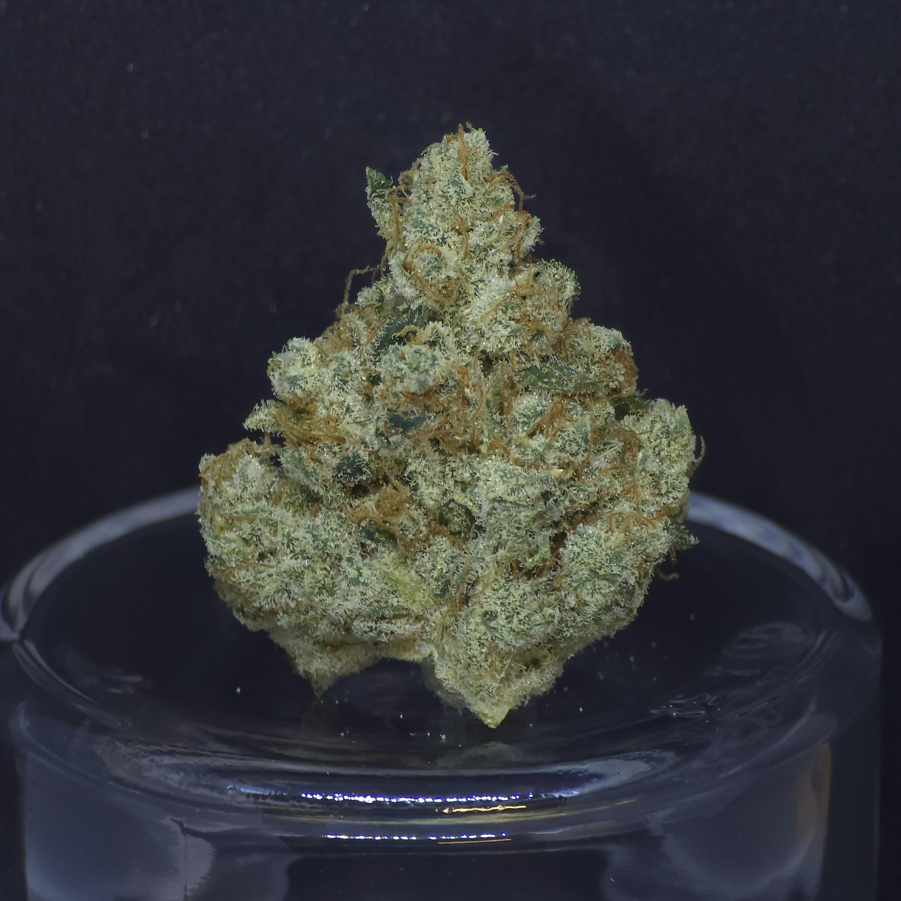 smAcK! .5g - 2 Pack by BAM Alaska