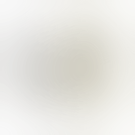 Scott Agustin Flip Case Combo 1G