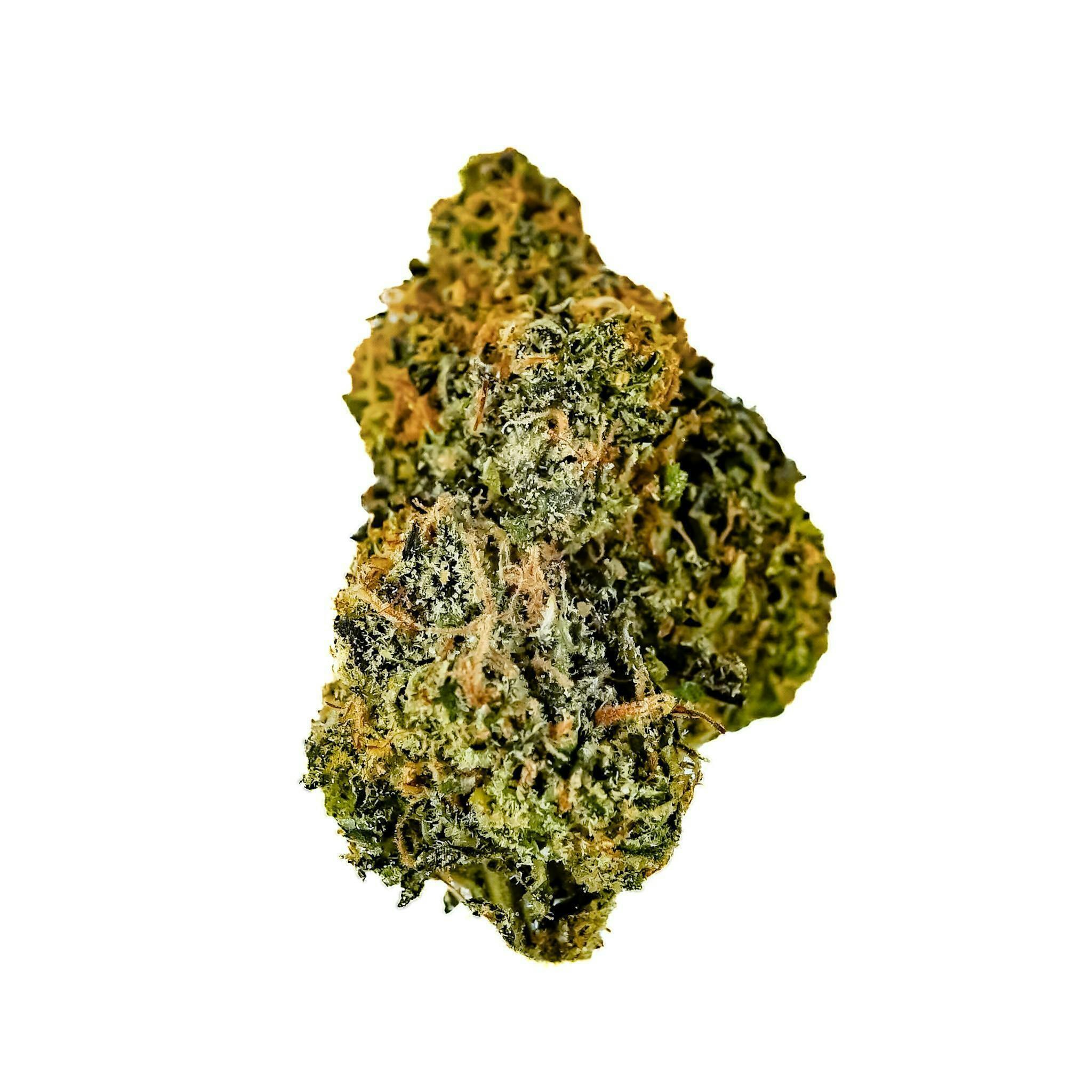 Prūf Cultivar: Gelato