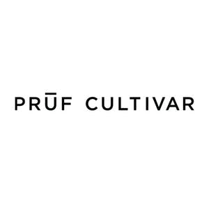 Prūf Cultivar: Kosher Kush